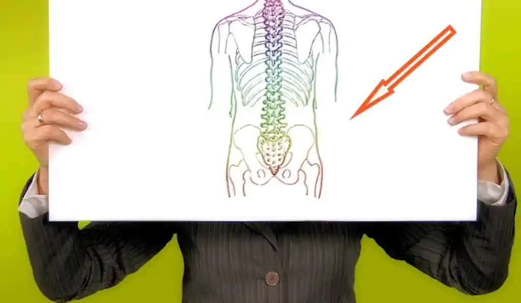 Sakrum i trtična kost: Temelj stabilnosti ljudskog tijela