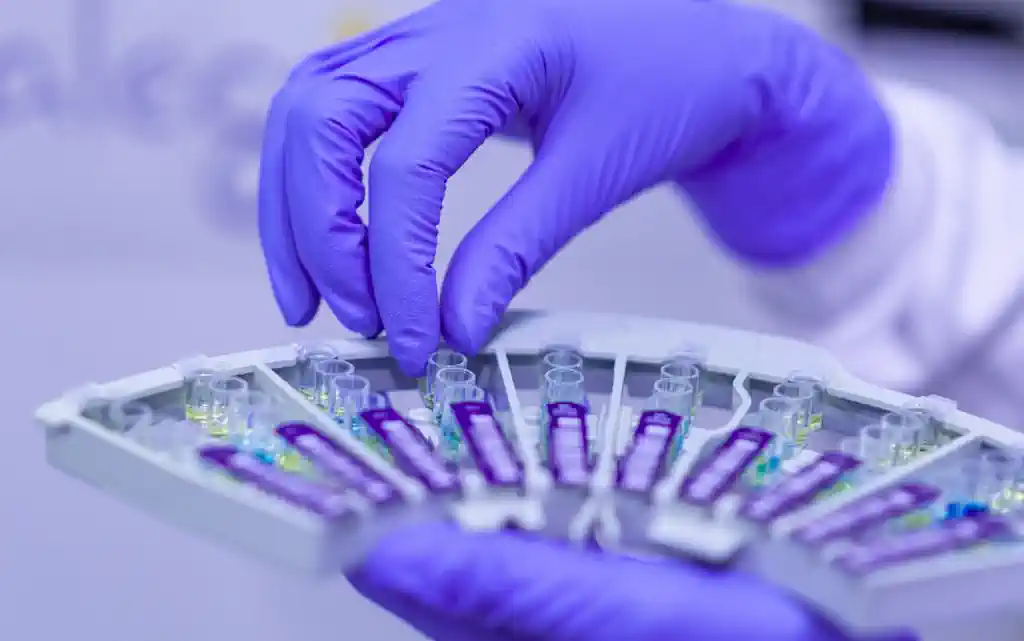 Patologija upale i imunopatologija: Od molekularnih mehanizama do precizne medicine